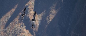 1 to 1 Coaching Supervision, Condors flying over the mountains.