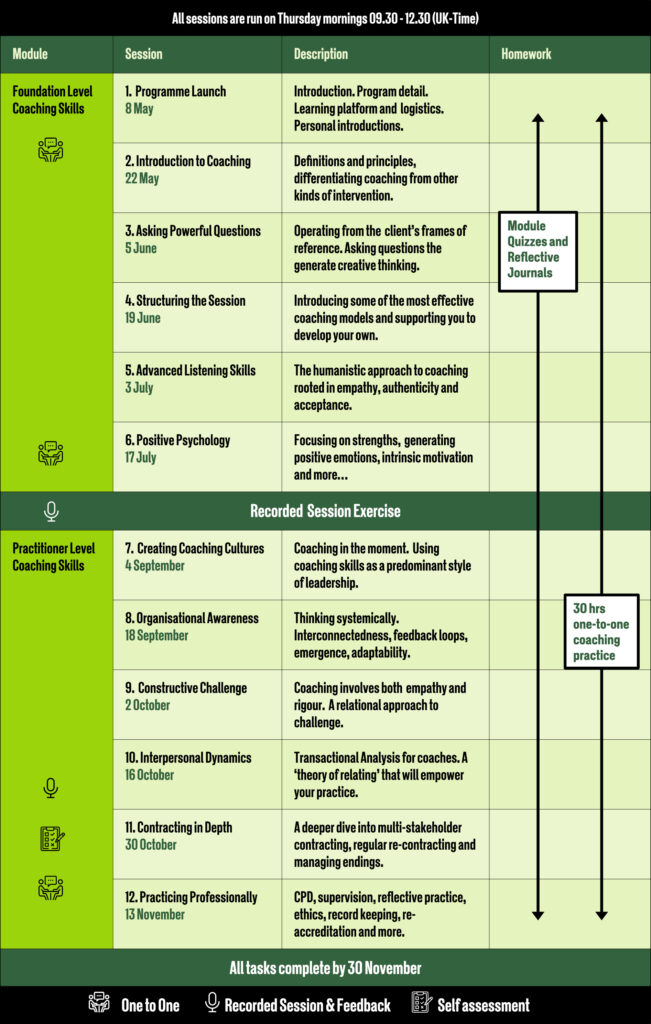 Bigger Picture_2025 | Executive Leadership and Team Coaching